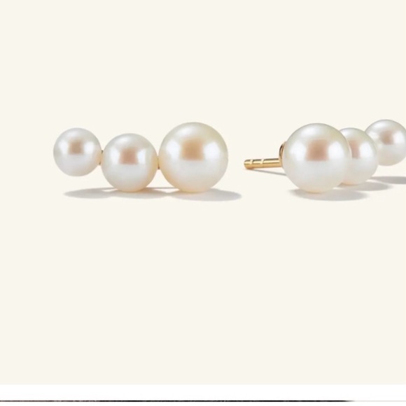Mejuri Jewelry - Mejuri Pearl Climber Earrings
